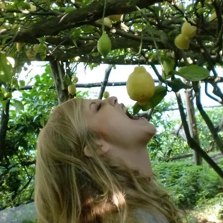 Casa Milena Daire Sorrento